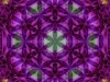 376592_232412536882257_646821091_n
