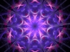 396060_372944029389416_944745486_n