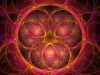 406067_503554492995035_585950680_n