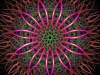 563057_422768954406923_1681254998_n