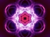 1390614_10152303746578312_1473547500_n