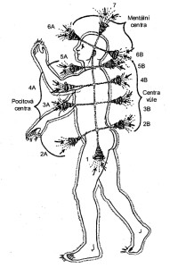čakry člověka