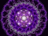 262778_10151586648248312_651665414_n