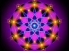 31892_10151736627508312_2017584569_n