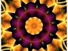 523856_227742957334140_215844045_n