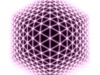 225137_3600659135036_974872707_n