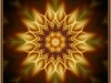 228810_231924930184999_408540_n