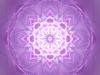 miracao-rosa