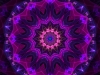 pleiadiana